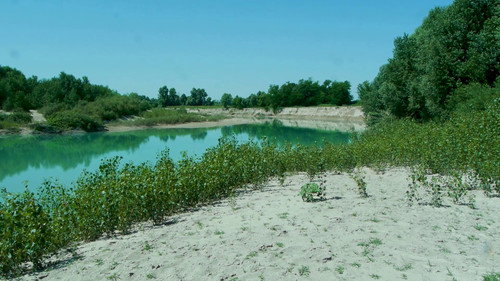 Il giardino nel paese del giardino