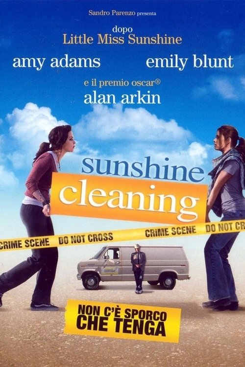 Sunshine Cleaning