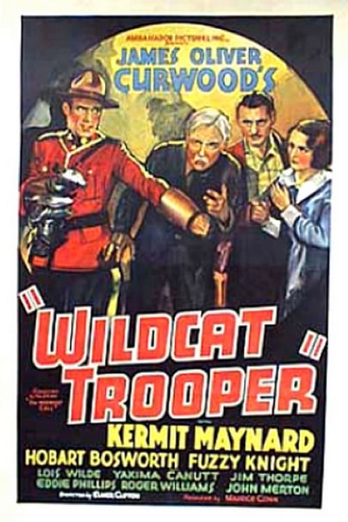 Wildcat Trooper (1936) poster