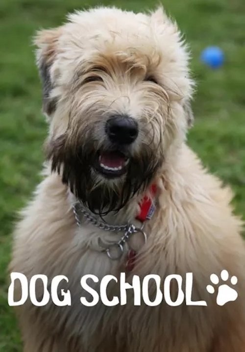 Dog School (2018)