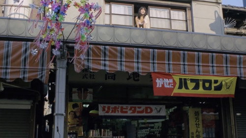 Beautiful Wrestler: Down for the Count