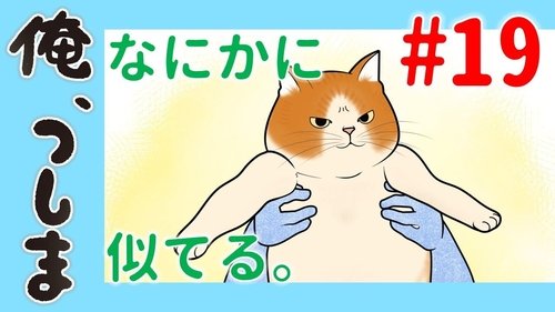 Image de l'épisode 19