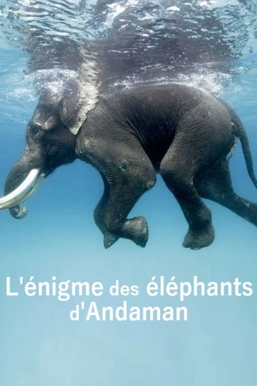L'énigme des éléphants d'Andaman (2023)