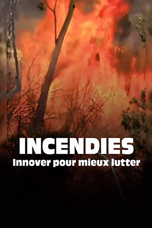 Waldbrände verhindern, aber wie?
