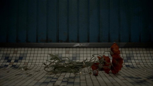 13 novembre, nos vies en éclats