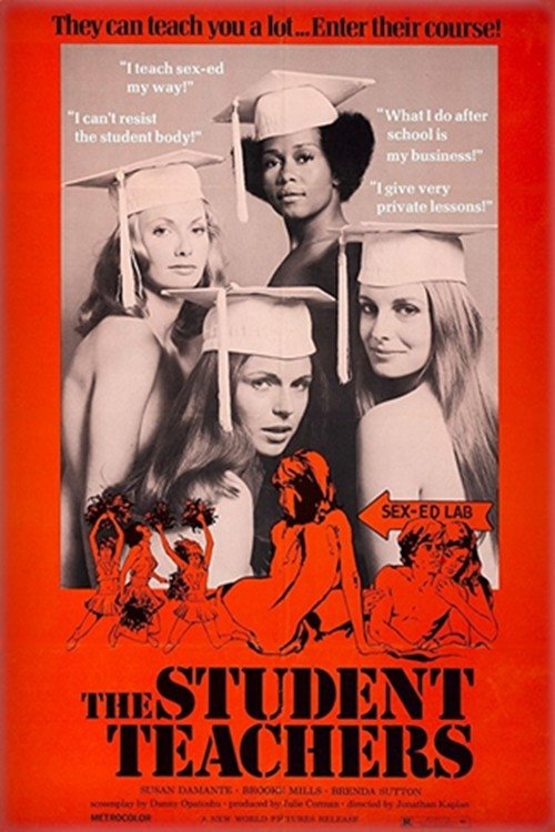 Grootschalige poster van The Student Teachers