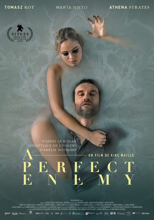 Poster image du film A Perfect Enemy A Perfect Enemy