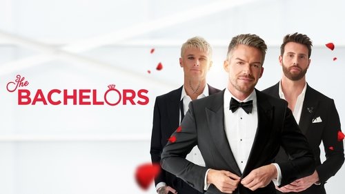 The Bachelor