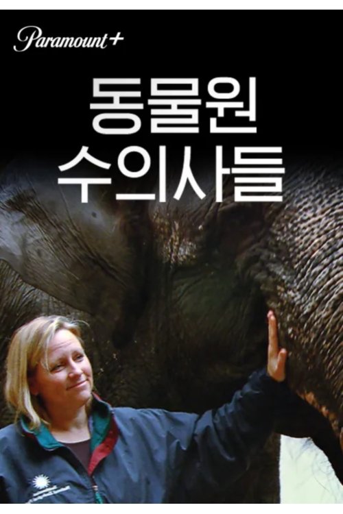 Where to stream Zoo Vets
