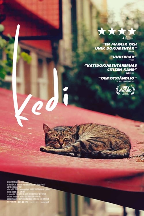 Kedi poster