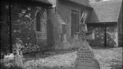 backdrop The White Owl