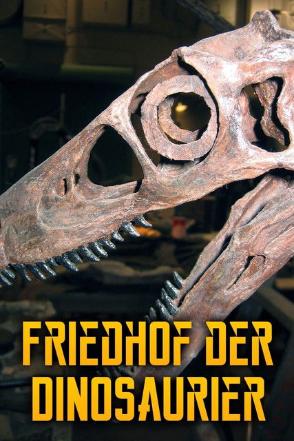 Friedhof der Dinosaurier