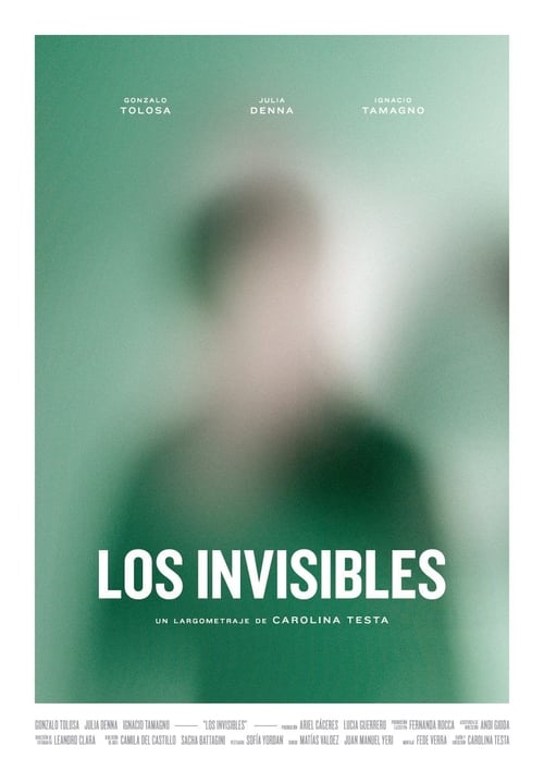 Los invisibles 2015