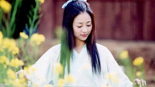 流星蝴蝶剑