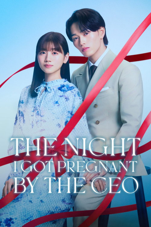 The Night I Got Pregnant By the CEO poster