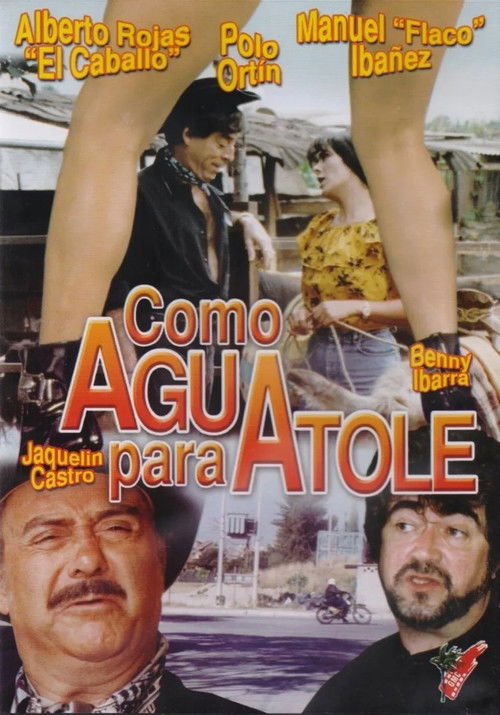 Como agua para atole (1996) poster