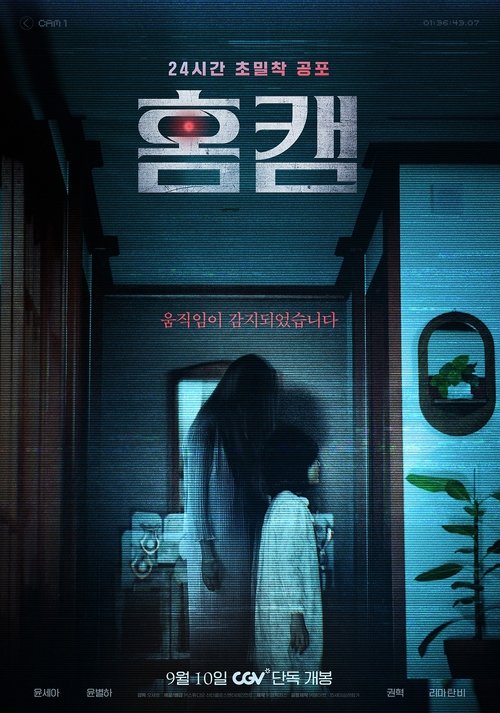 Poster for Home Cam (2025)