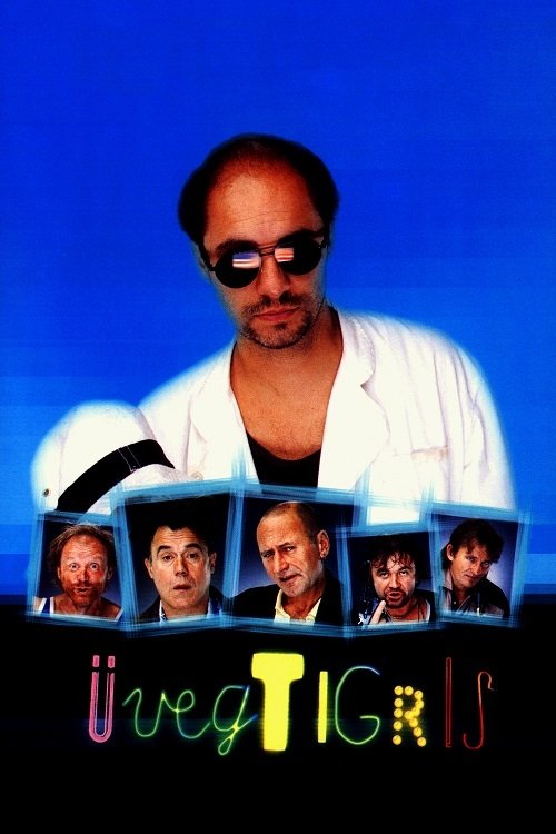 Üvegtigris movie poster player