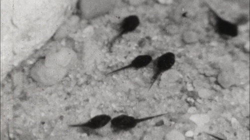 Joe Was Not So Happy