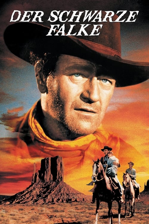 The Searchers poster