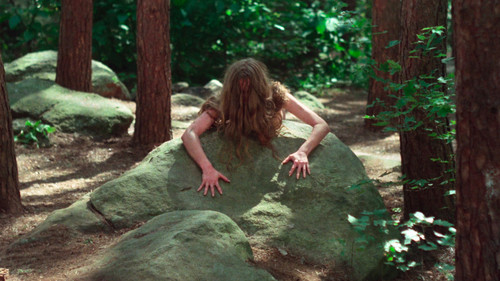 Image du film