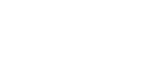 The Littlest Outlaw logo