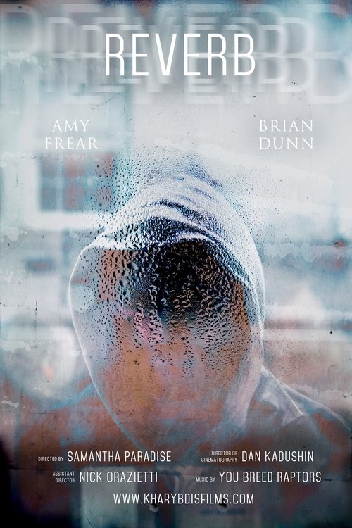 Reverb movie poster player