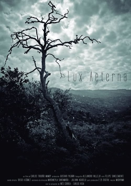 Lux Aeterna movie poster player