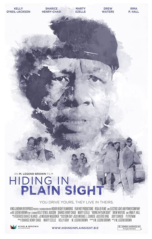 Hiding in Plain Sight (2012)