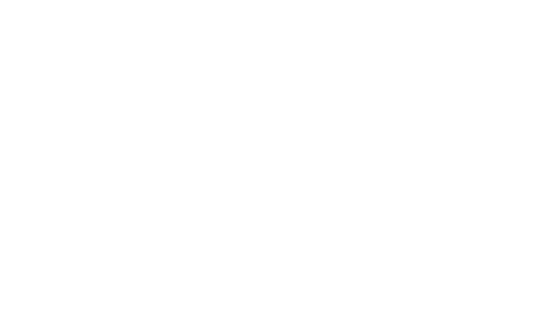 Shawn Mendes: For Friends and Family Only – A Live Concert Film