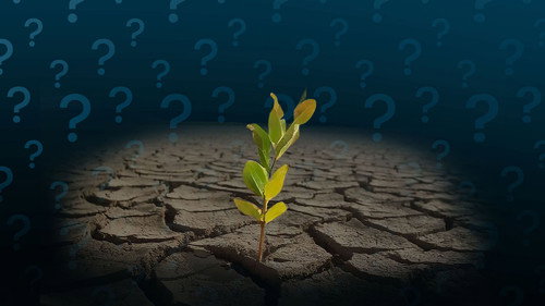 Why Is the Earth Becoming More Desert-Like?