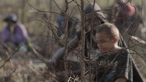 When the Dogs Talked