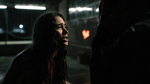 Herman - imagem 11