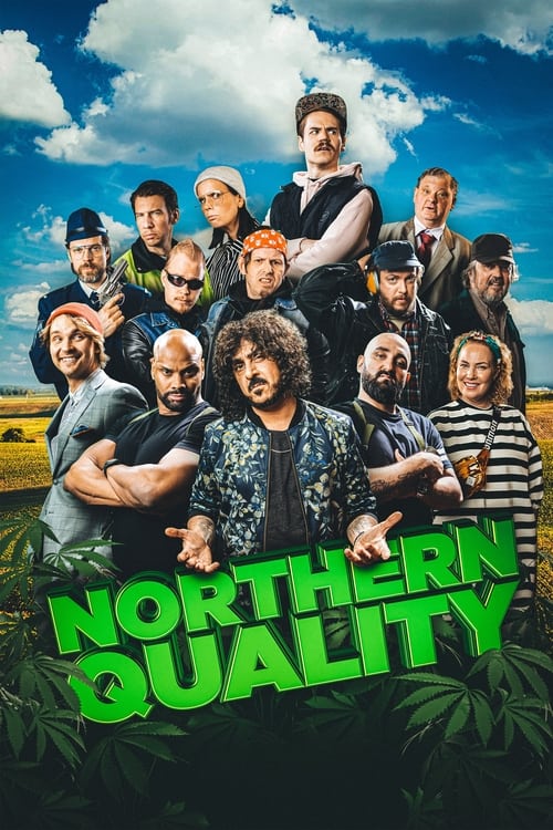 Watch it Northern Quality Online