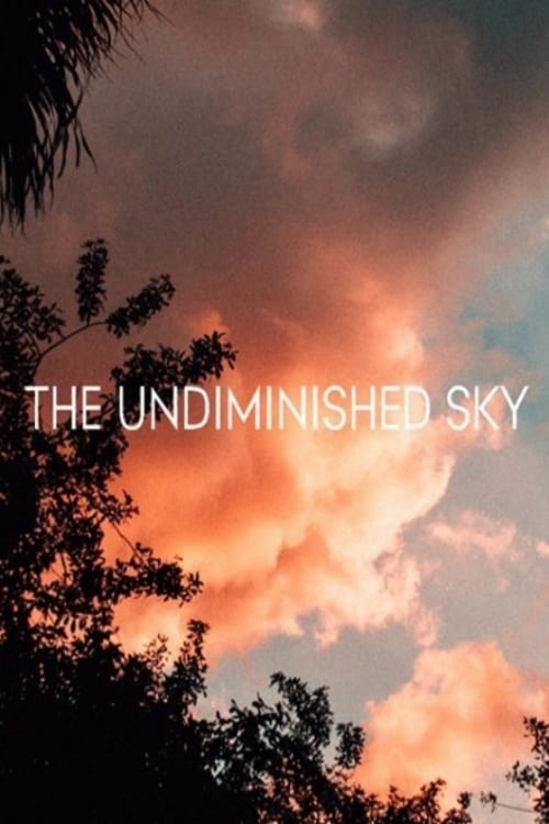 The Undiminished Sky 2017