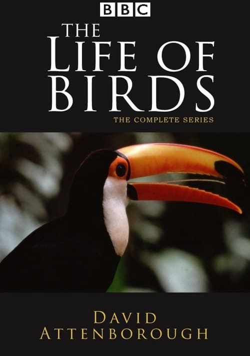La Vida de las Aves
