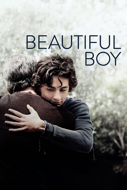 Beautiful Boy poster