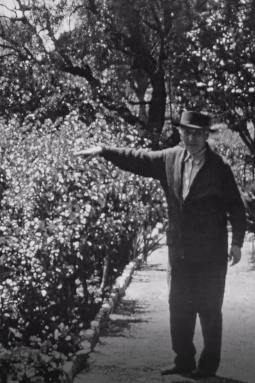 Chagall dans son jardin a Saint-Paul-de-Vence (1970)