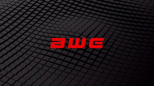 Boston Wrestling Entertainment Backdrop Blur