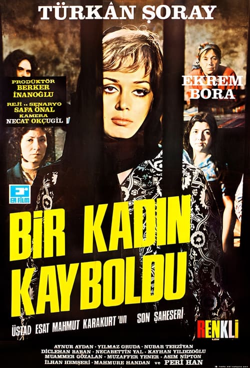 Bir Kadın Kayboldu (1971)