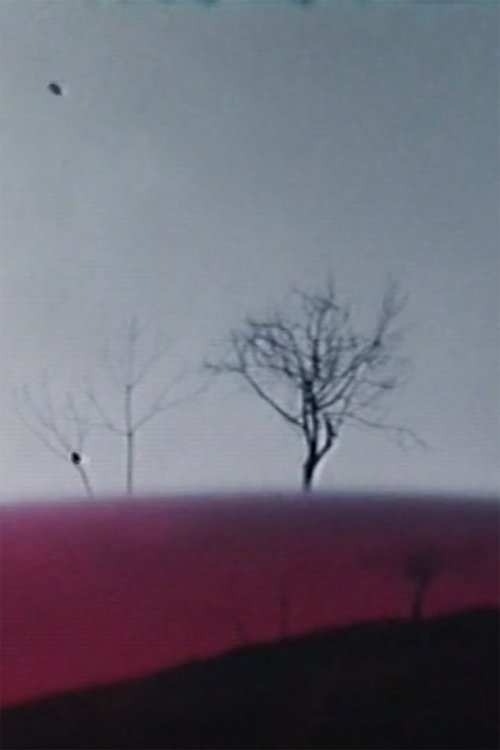 Ho fatto un film a Varese 1°