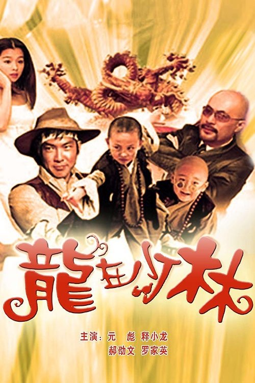 龙在少林 movie poster player