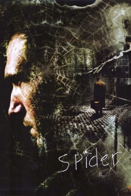 Spider ( Örümcek )
