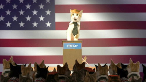 Image de l'épisode 9