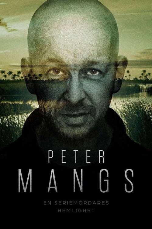 Póster oficial de Under the Radar: Secrets of a Swedish Serial Killer (2024) - Documentary