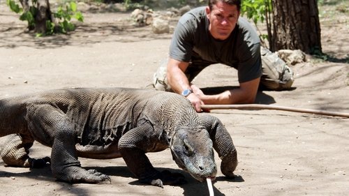 Image de l'épisode 1