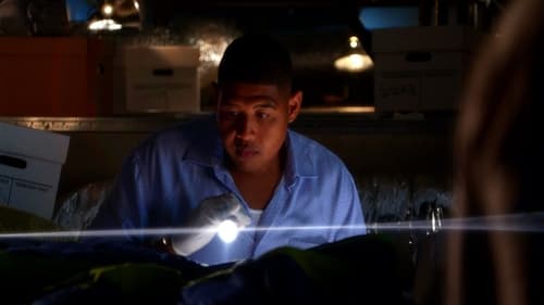 CSI: Miami, S08E17 - (2010)