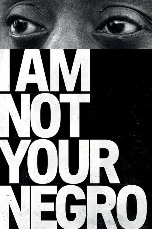 I Am Not Your Negro poster