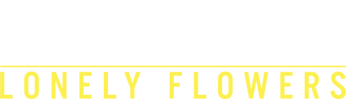 Roy Wood Jr.: Lonely Flowers