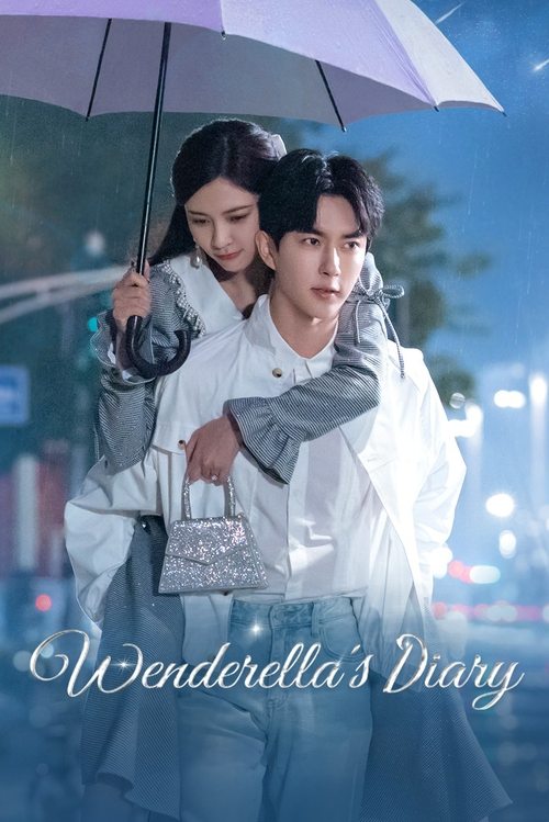 Poster Wenderella's Diary